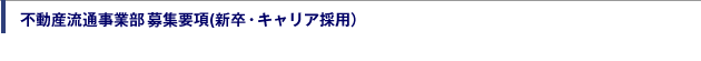 募集要項(新卒・キャリア採用)